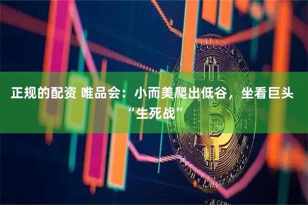 正规的配资 唯品会：小而美爬出低谷，坐看巨头 “生死战”