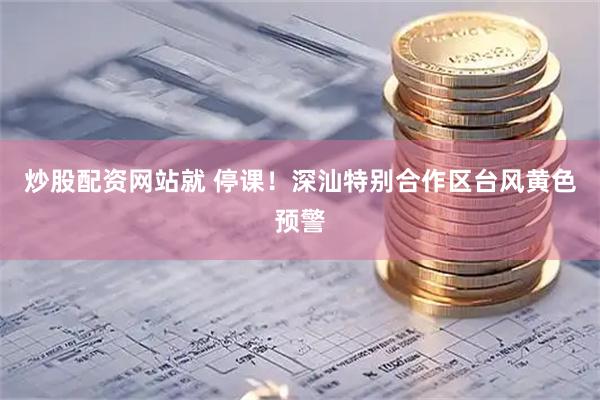炒股配资网站就 停课！深汕特别合作区台风黄色预警