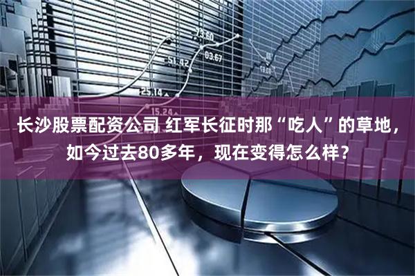 长沙股票配资公司 红军长征时那“吃人”的草地，如今过去80多年，现在变得怎么样？